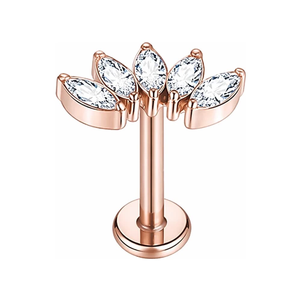 LABRET CLUSTER SHINE